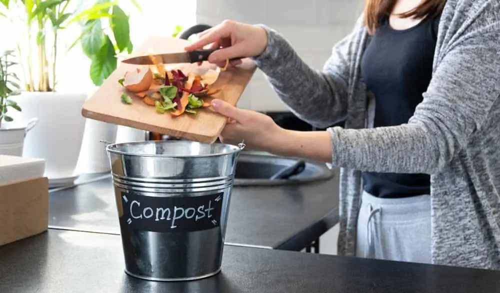 Illustrative kitchen waste composting